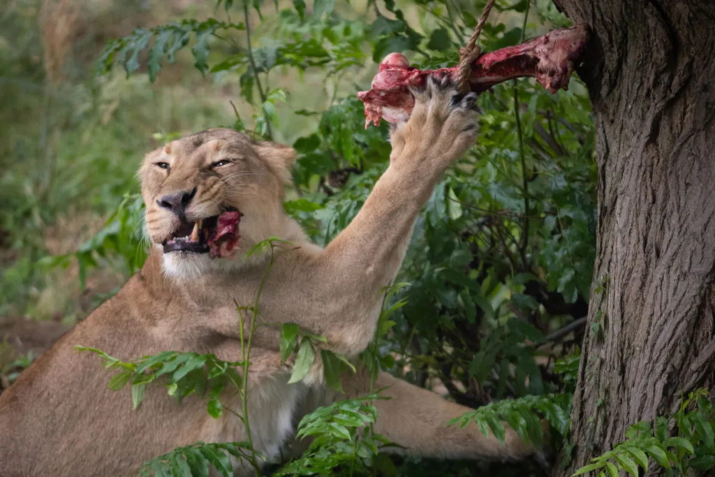 Software stocks fall as ebbing geopolitical risks prompt renewed focus on long-term disruption