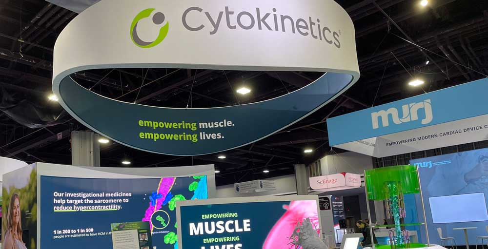 Why Cytokinetics CEO Is Optimistic As FDA Deadline On Aficamten Looms