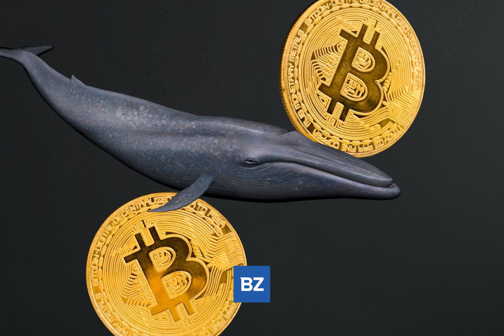 Bitcoin Whale Moves 9,003 BTC Off Gemini