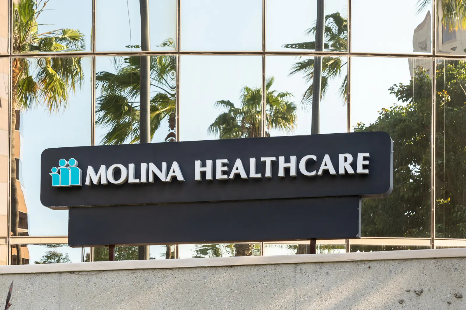Molina sinks on earnings miss and guidance cut, drags down peers Centene and Oscar