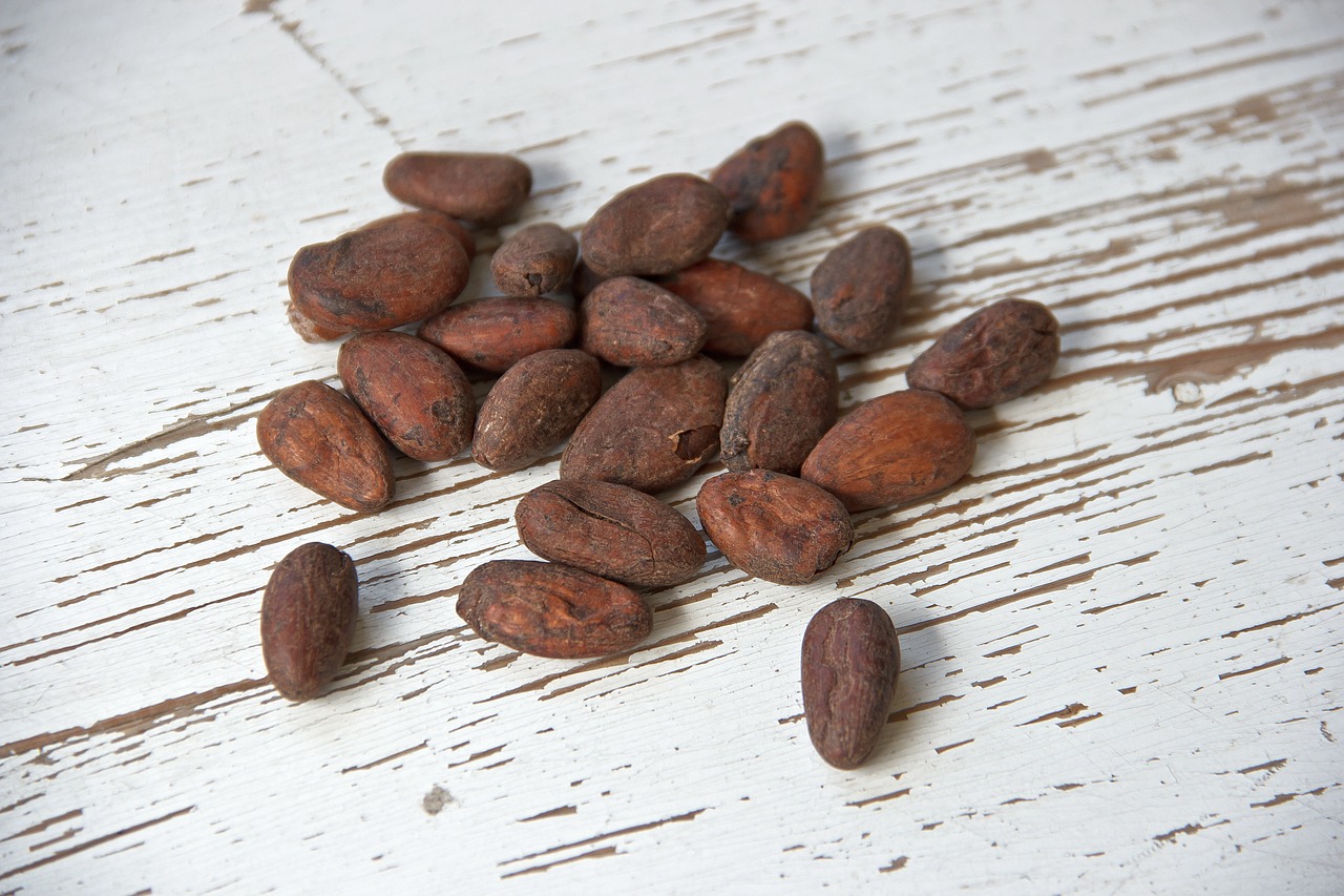 Cocoa Prices Rebound on Technical Short Covering