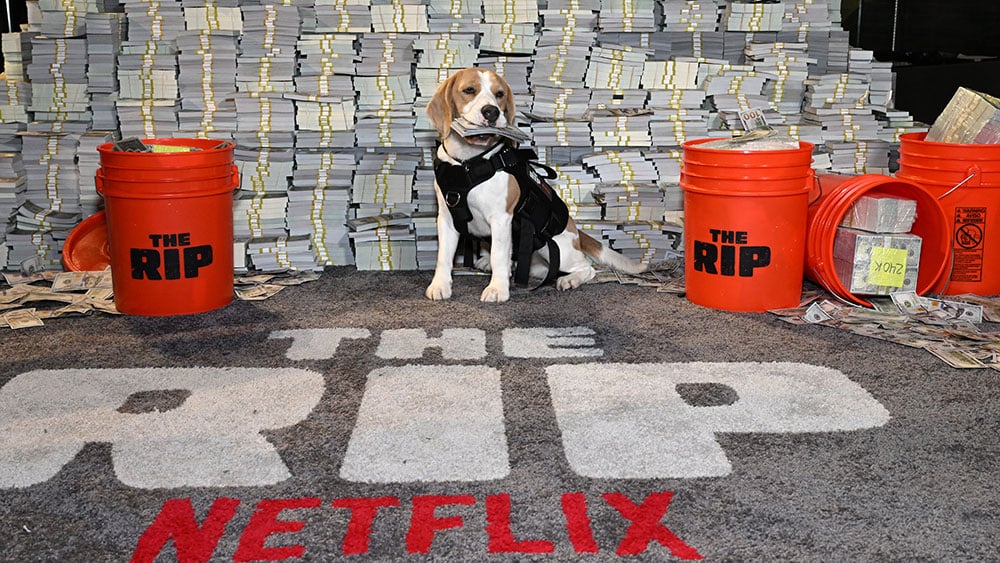 Price Hikes Driving U.S. Streaming Video Sales Growth, Not New Subscribers