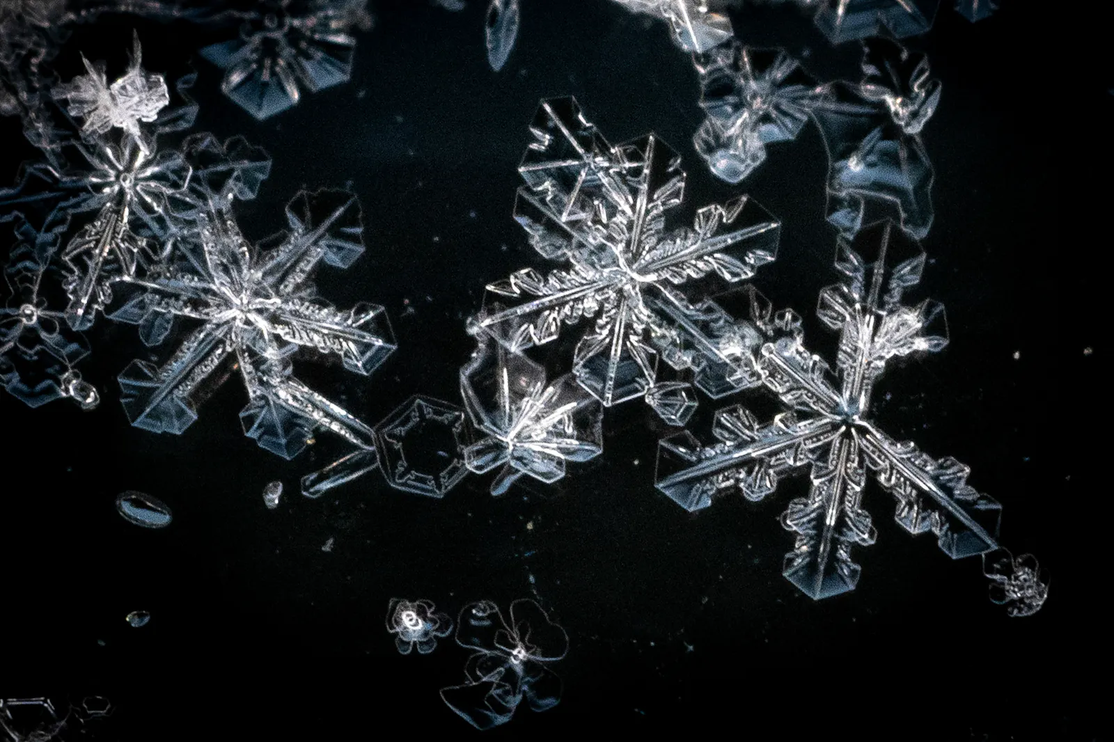 Snowflake jumps on Palantir partnership announcement