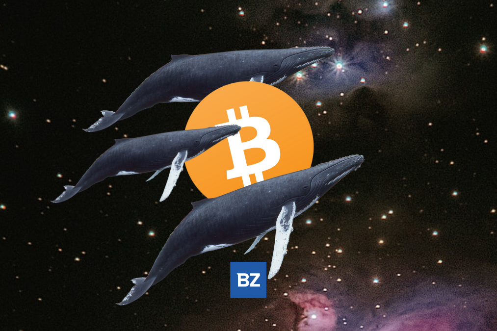Bitcoin Whale Just Transferred $22M BTC From Coinbase To Binance