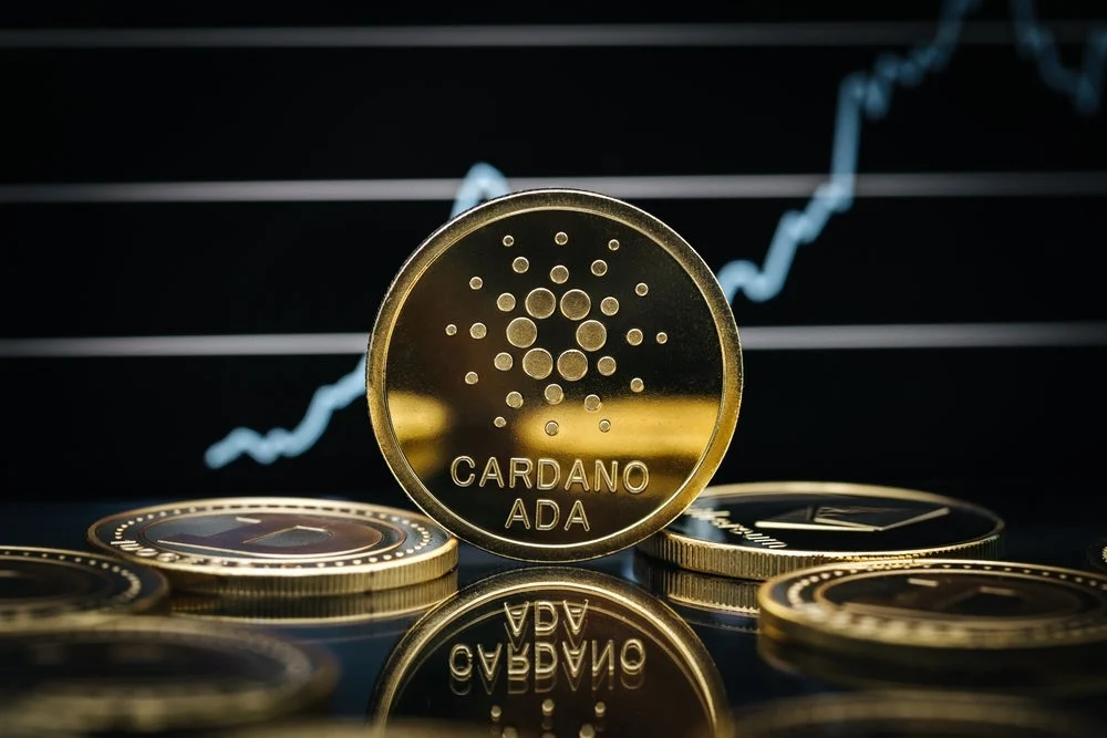 Cardano Drops 32% Since Being Snubbed For Bitcoin-Only Reserve: What Is Going On?