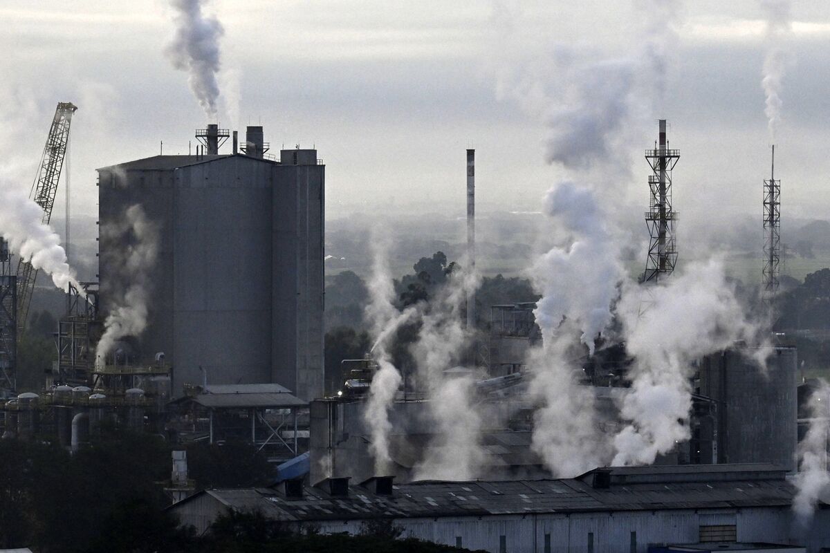 Oil Shock Sends High-Flying Materials Stocks to Rock Bottom