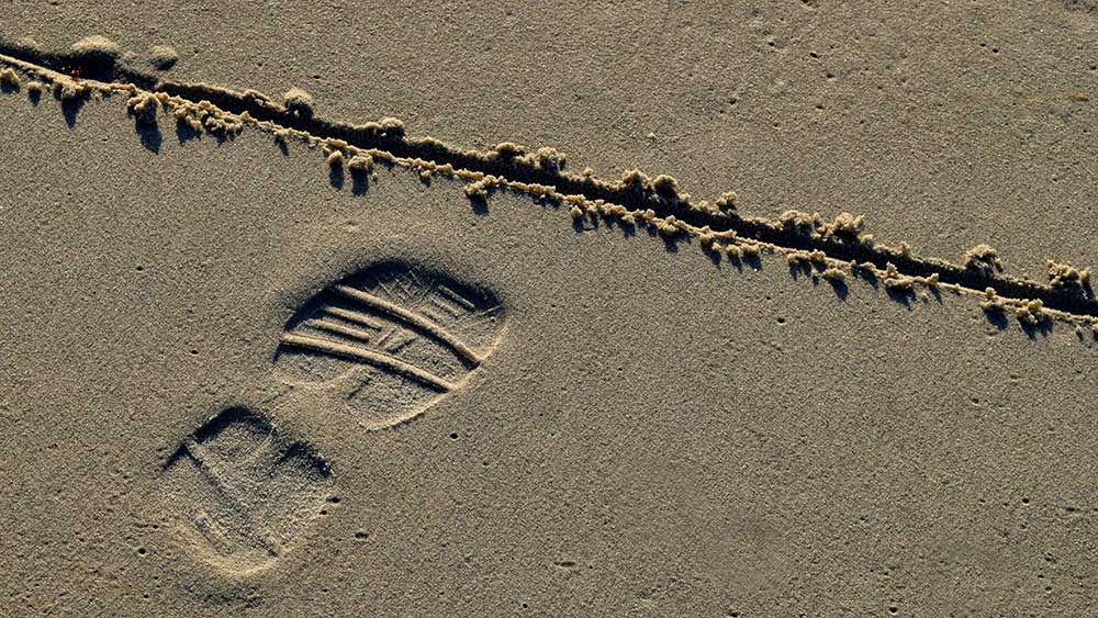 This Retailer Drew A Line In The Sand. Now It Aims To Cross It.