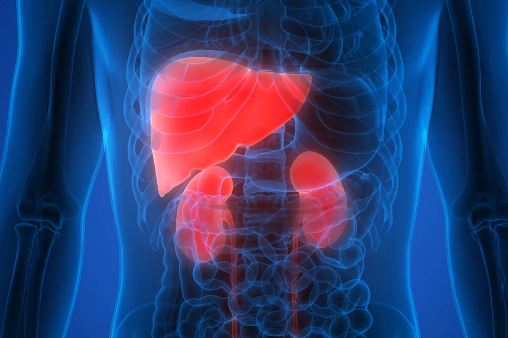 Mirum Pharmaceuticals Rally Reflects Confidence In Late-Stage Liver Disease Assets