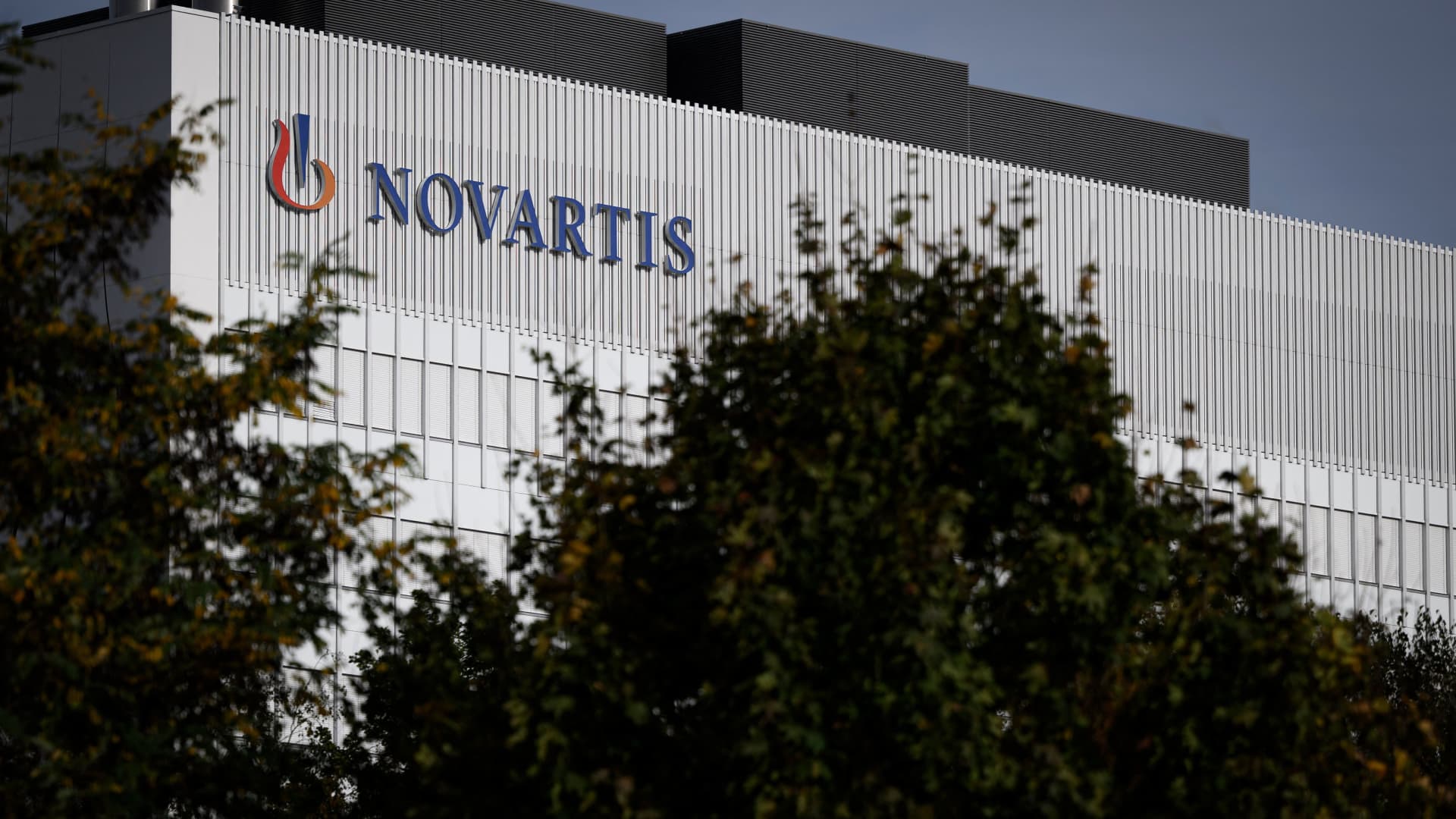 Novartis CEO says pharma giant has the firepower for big M&A deals: 'Can never be done'