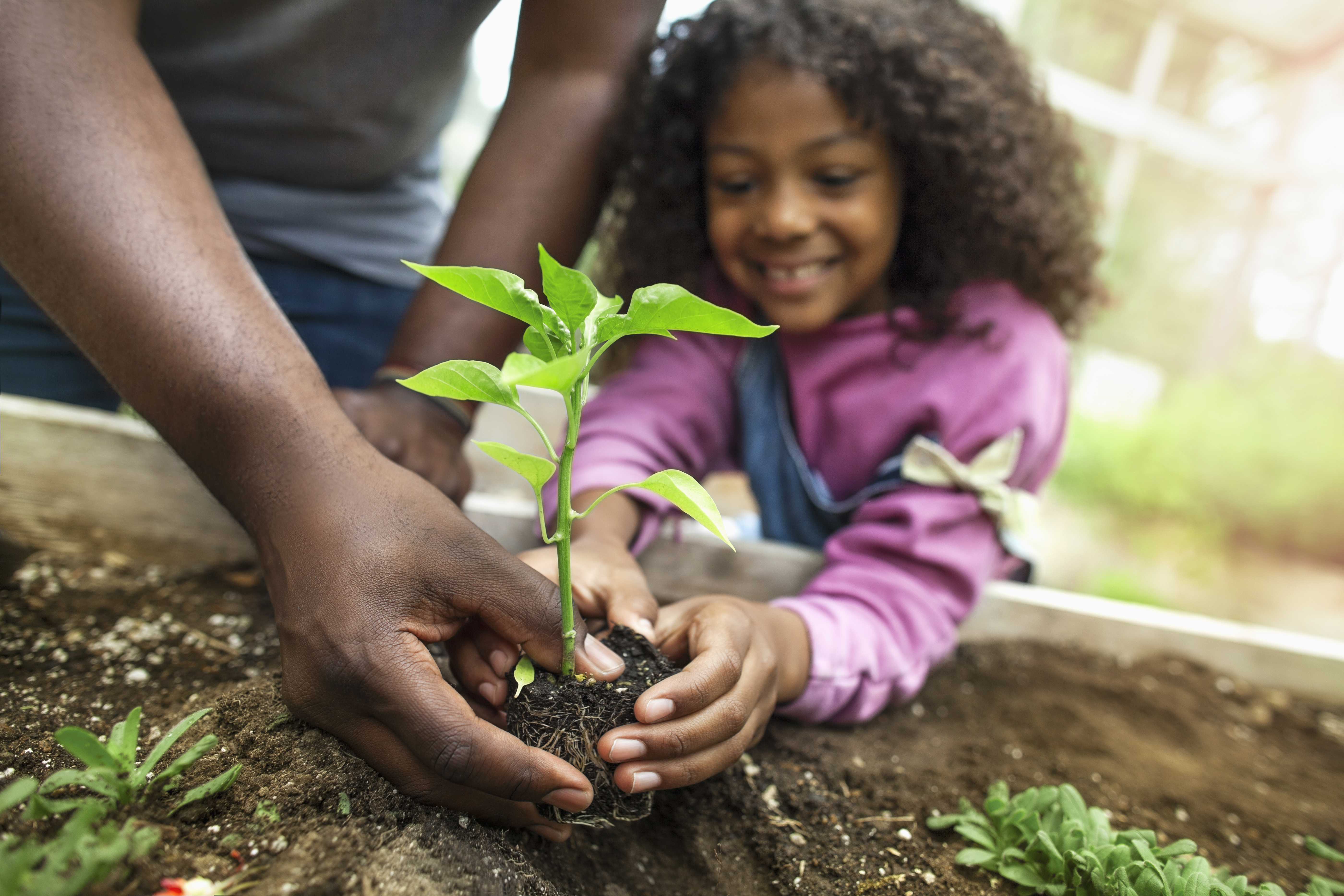 Why Scotts Miracle-Gro Stock Popped by 11% Today