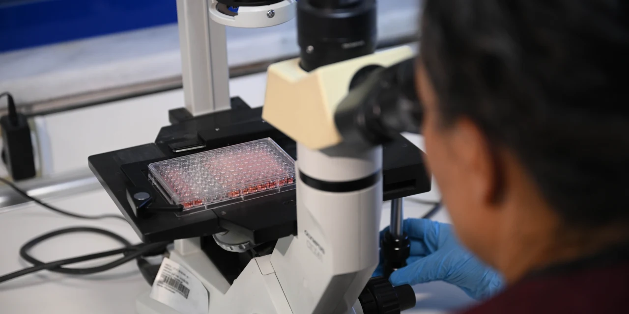 Why Biotech’s Rally Can Last This Time