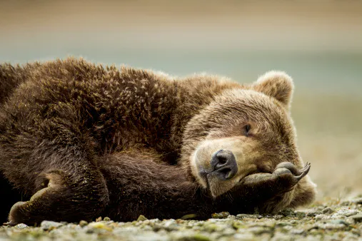 Stocks close lower in volatile trading session, crude oil falls after trimming steeper losses