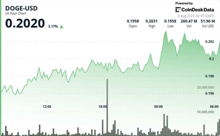 DOGE Rally Stalls at 20-Cents, But Large Holder Activity Flashes Bullish Signs