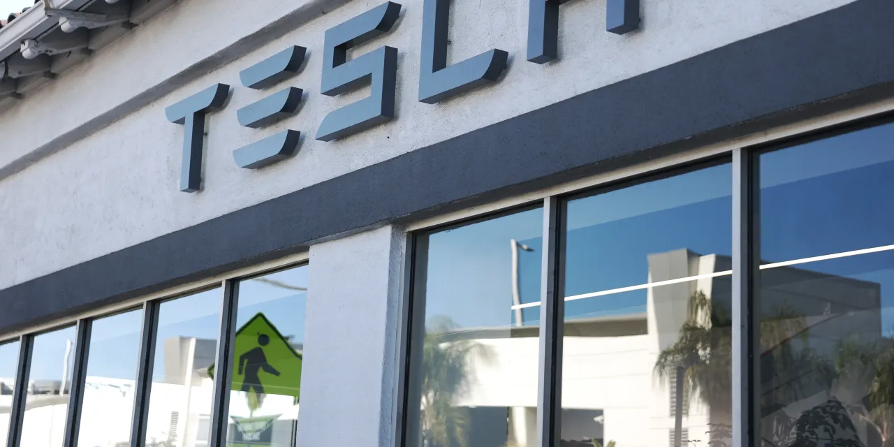 Tesla and SpaceX Stocks Fall and Cathie Wood Buys More of Both