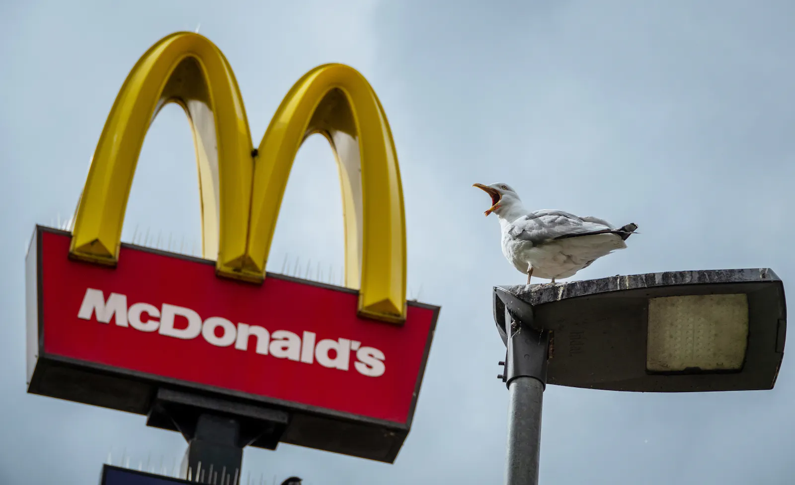 McDonald’s pivoted to value and won. Now it's taking a big, beefy gamble on the Big Arch