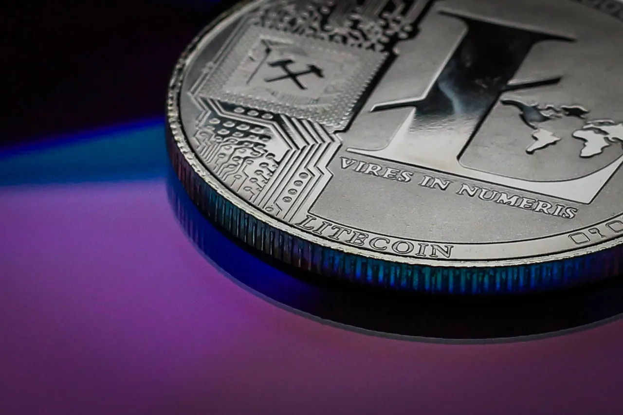 Forget Bitcoin Holders: Litecoin Investors Are The Real Diamond Hands, According To This Metric