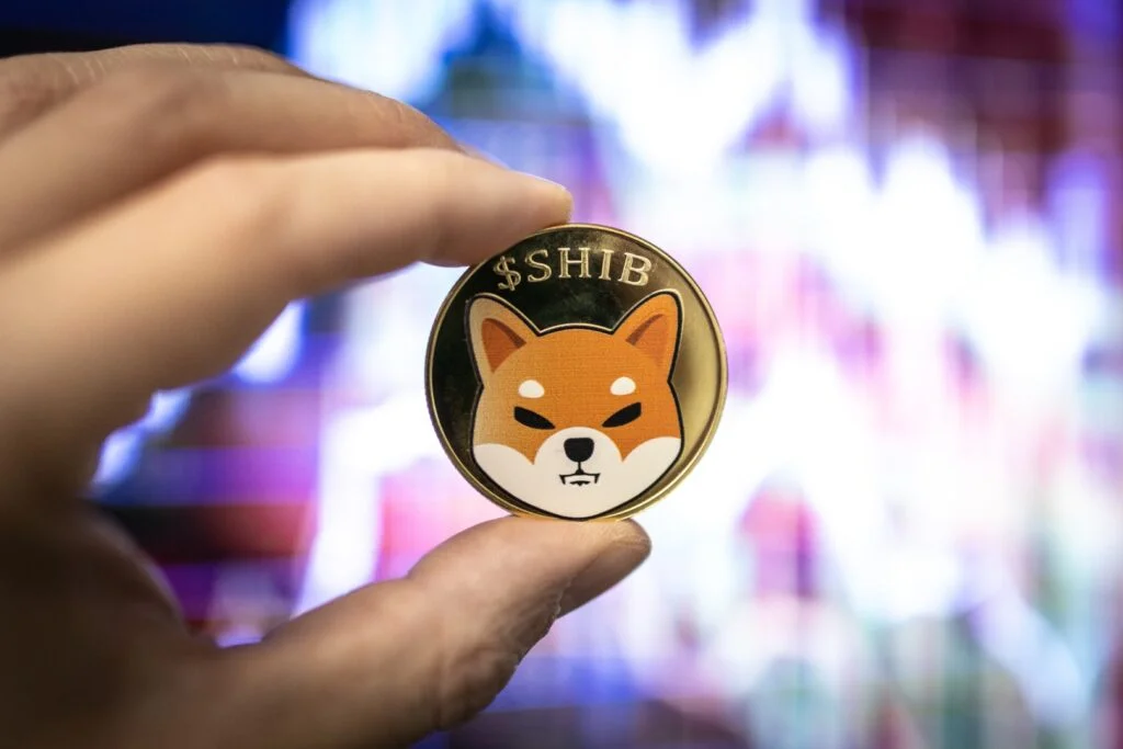 Shiba Inu Up 6% On 17,197% Burn Rate Explosion, But: 'SHIB is Cheap,' Claims Trader
