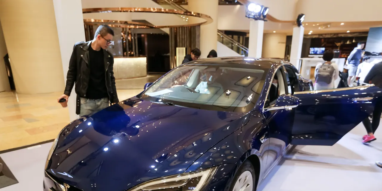 Want to Build Your Own Tesla Model S or X? Elon Musk Will Show You How.