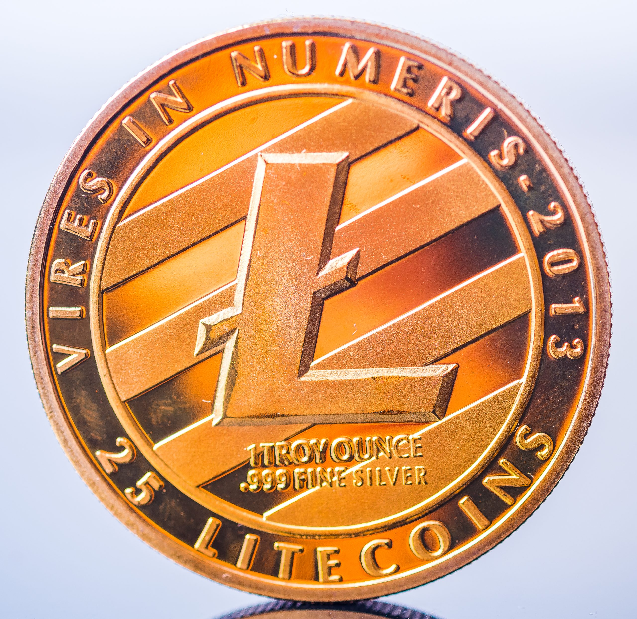 Prediction: What Will 100 Litecoin Be Worth by 2030?