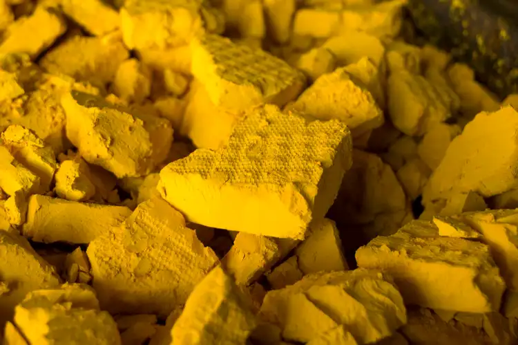 Uranium Energy started at Outperform at BMO, expecting rising uranium price environment