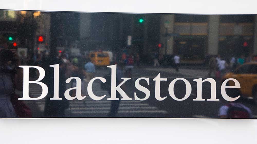 Follow The Money: How Blackstone's AI Kingmaker Role Spans Google, Anthropic And More