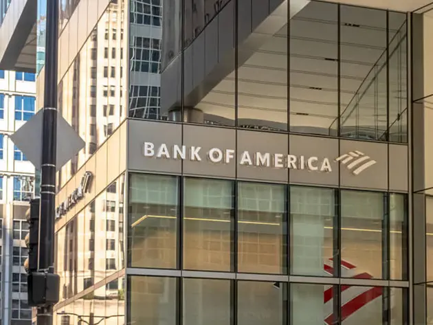 Bank of America forms team to advise in private equity exits - report