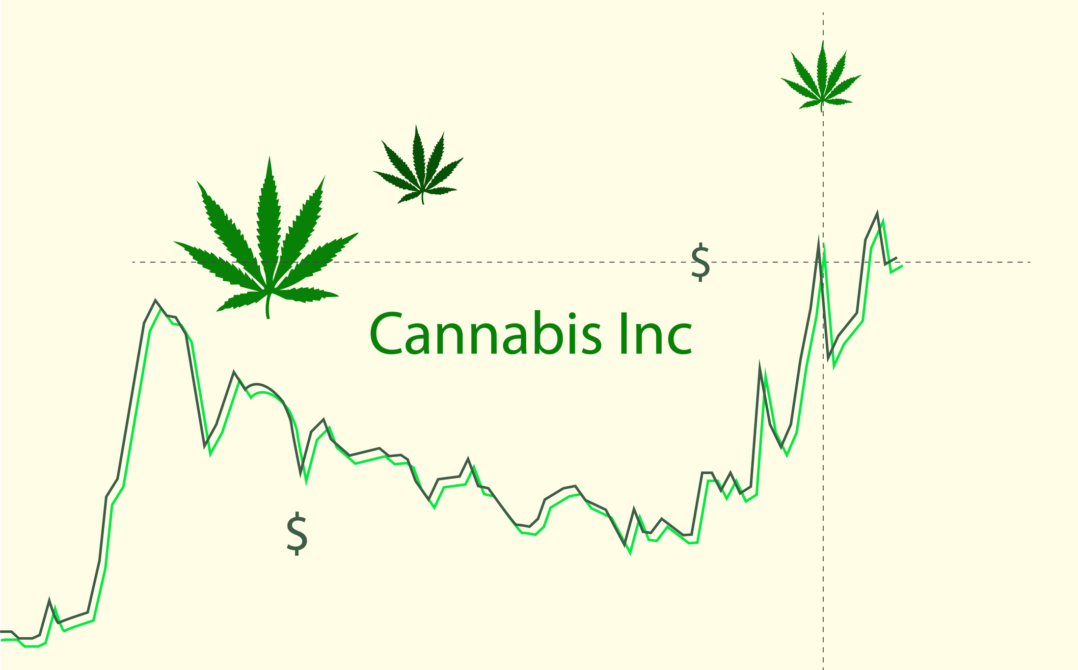 Why Tilray Brands Stock Is Up Again Today