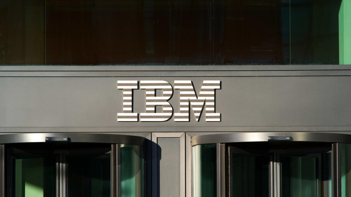 IBM isn't playing the same AI game as others: Portfolio manager