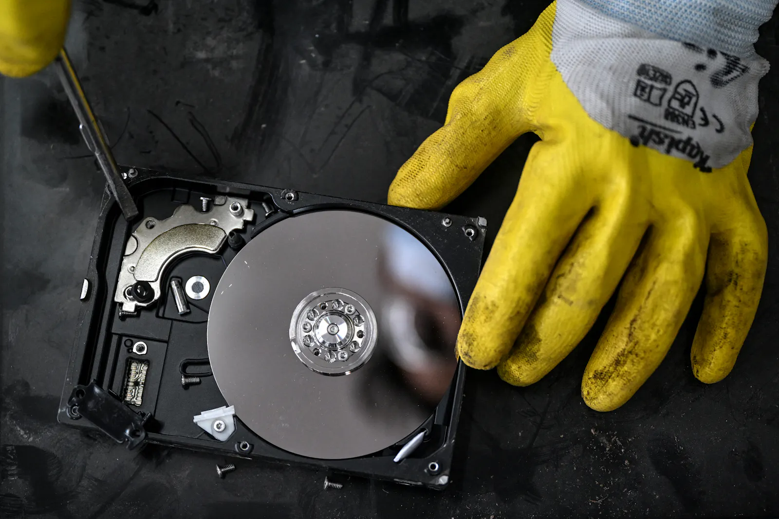 Disk drive duopoly darts higher after Seagate earnings
