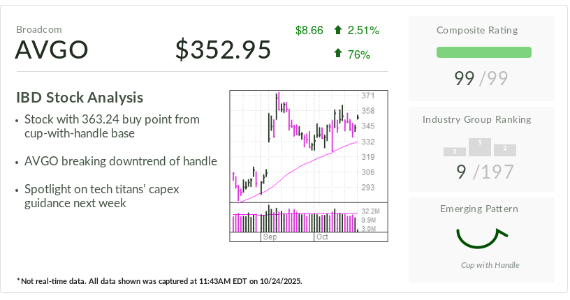 Broadcom, IBD Stock Of The Day, Gains Custom AI Chip Business