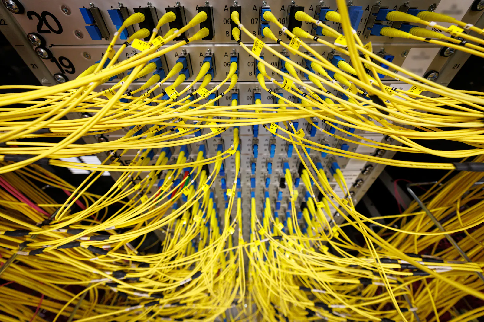 Momentum returns to optics stocks as the release valve for AI optimism