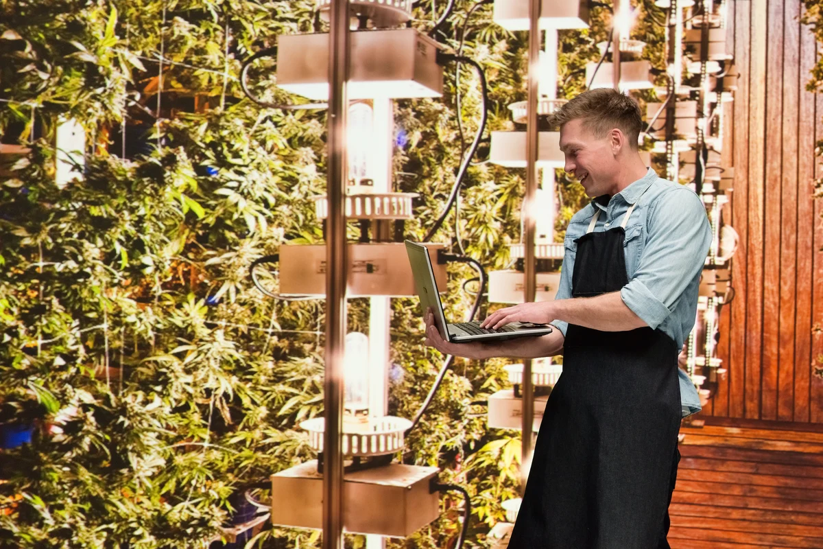 Curaleaf's Hostile Takeover Bid for Aurora Is Just the Tip of the Iceberg for Cannabis Consolidation. These 2 Stocks Could Be the Biggest Winners.