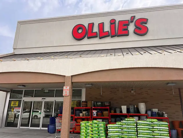 Ollie's Bargain Outlet poised for double-digit earnings growth—Wells Fargo