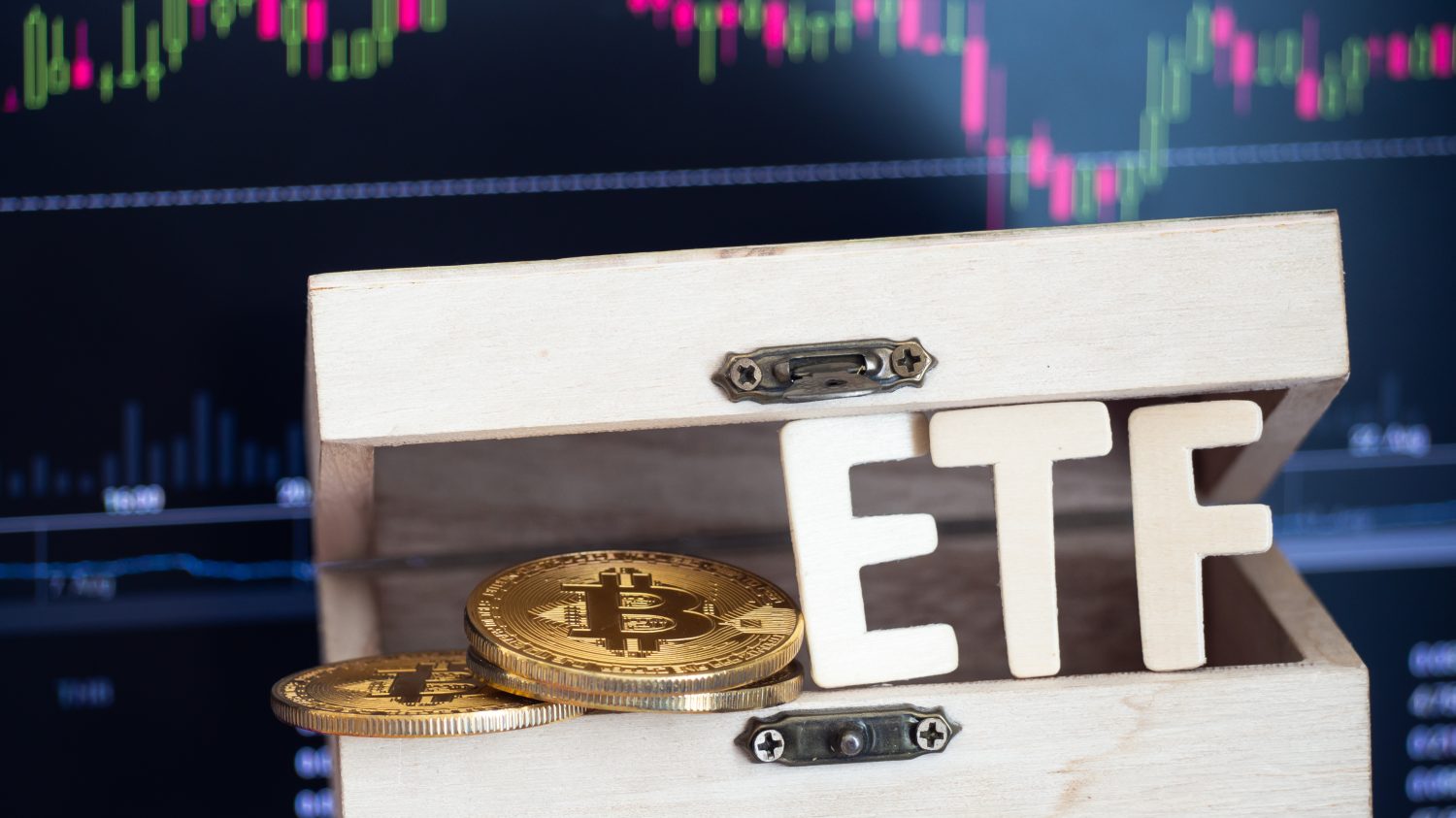 Bitcoin Fell 36% Fast and The BITQ ETF Felt Every Bit of It