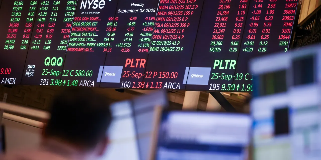 Palantir Stock Is Having Its Best Day in a Year. Software Looks Like a Buy Again.