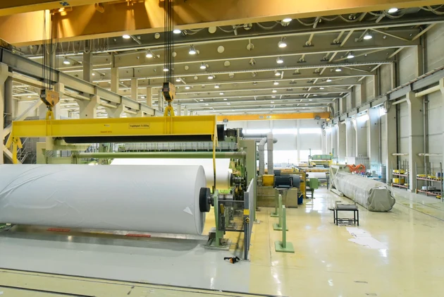 Clearwater Paper plunges after quarterly losses widen; TD Cowen downgrades