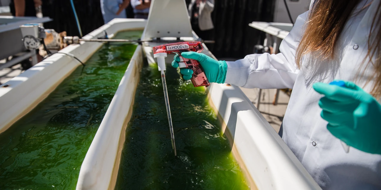 Exxon Scientists Had Doubts About Algae Biofuels. The Oil Giant Touted Them Anyway.