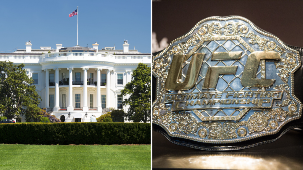 Trump's Birthday UFC Event Faces More Pressure: Netflix Just Set MMA Viewership Record