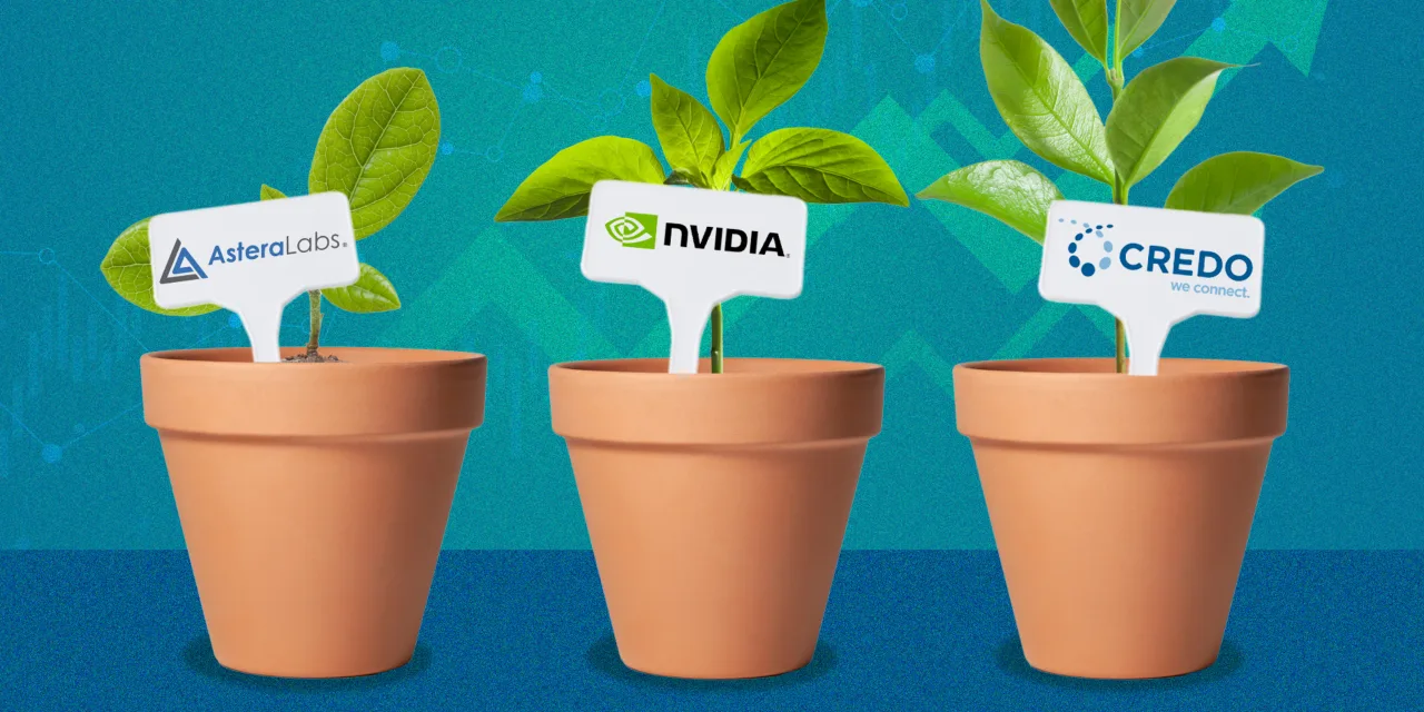 These under-the-radar chip stocks could deliver rapid sales growth for the next 2 years