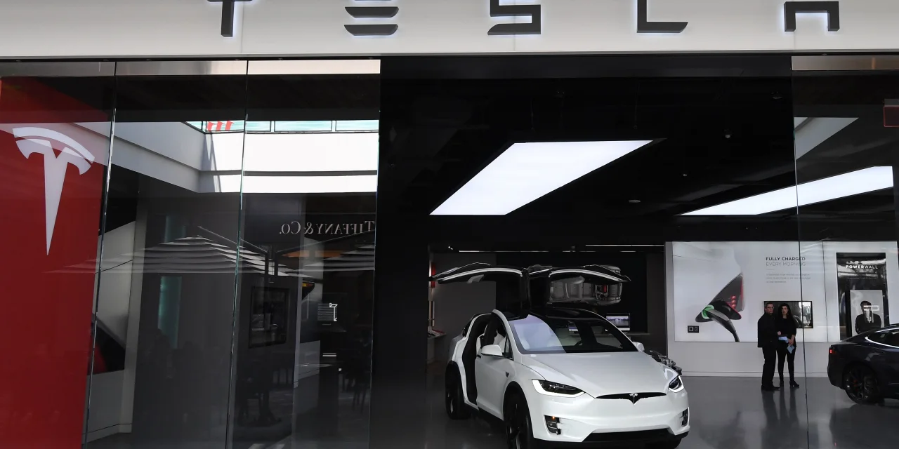 Tesla Stock Rises to End Good Week. Thank the Usual Suspects.