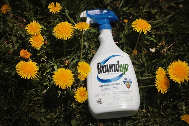 Bayer says no plans to spin off Monsanto despite litigation threat