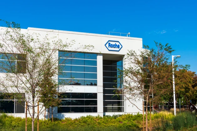 Roche's annual results hit by currency headwinds