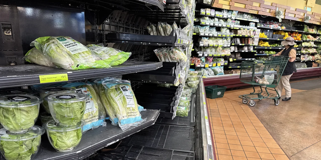 United Natural Foods Boosts Profit Outlook, Lowers Sales Guidance