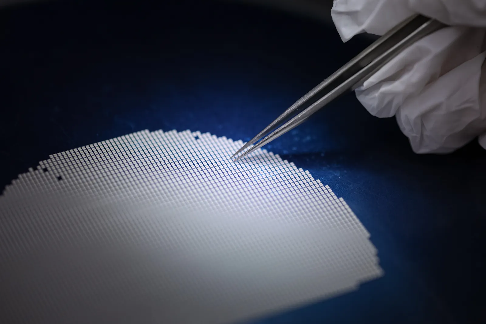 Chip stocks are in a bubble, at least by this definition, says analyst