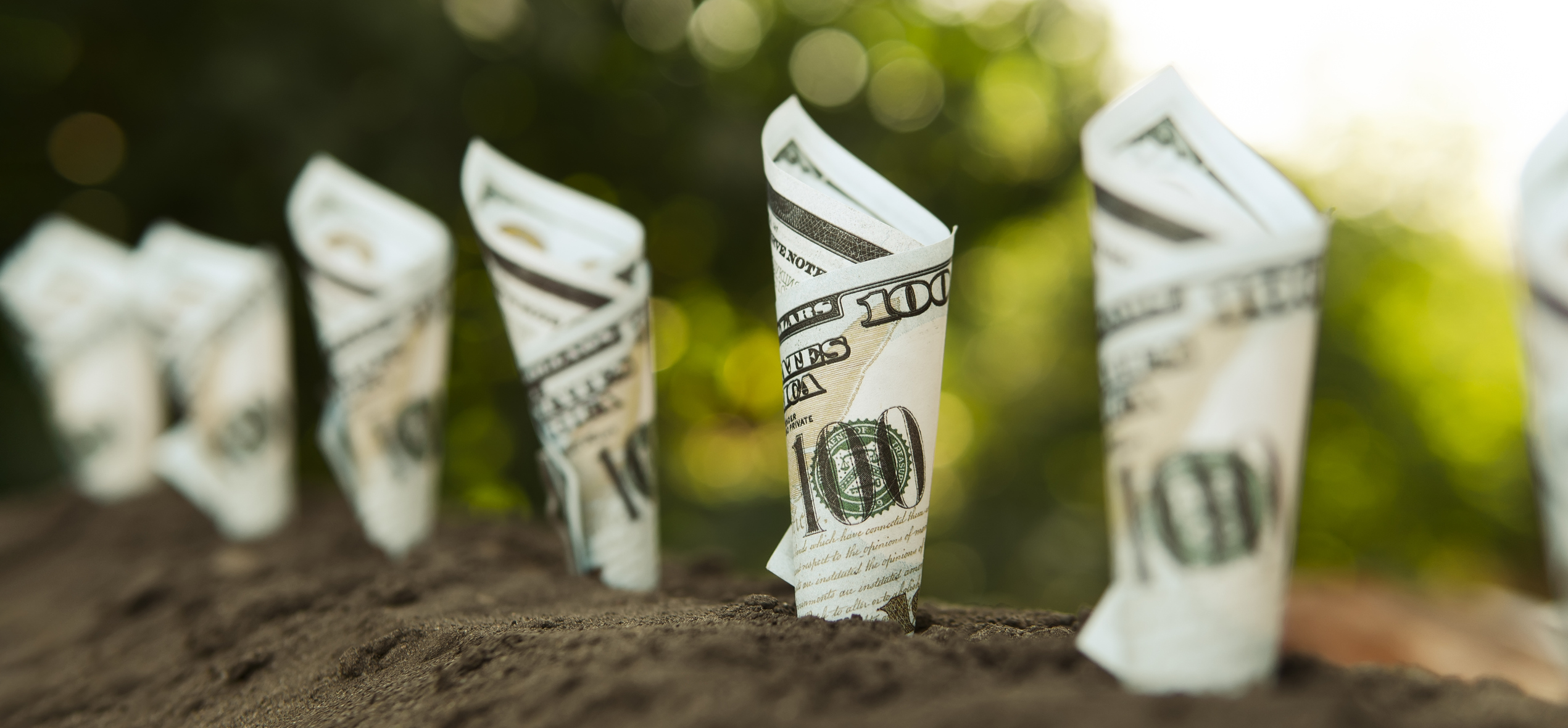 The Best High-Yield Stocks to Buy With $1,000 Right Now