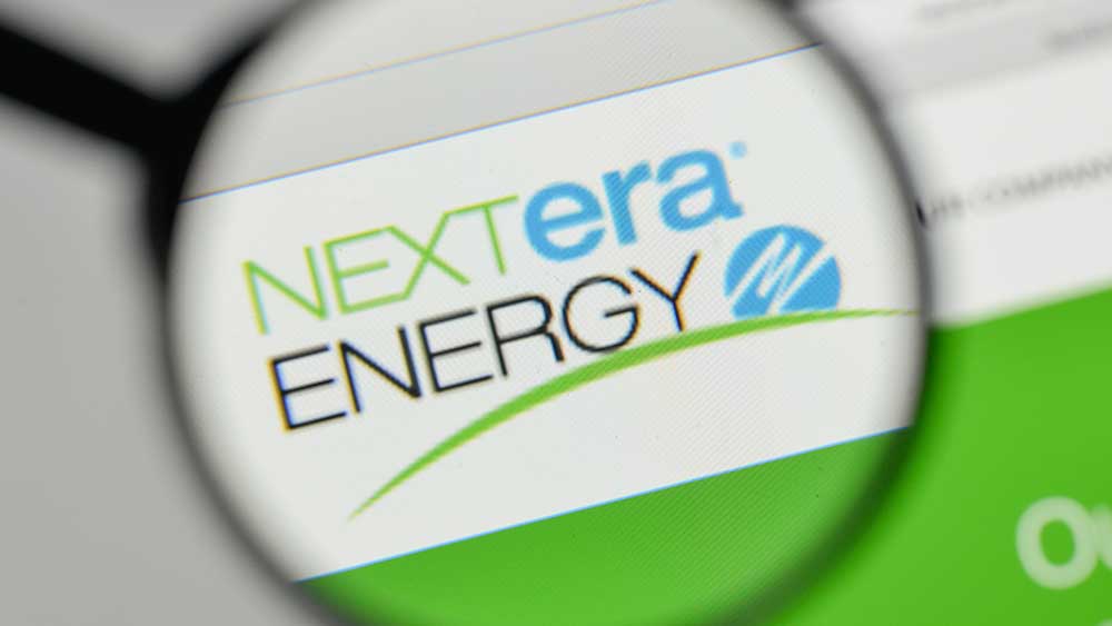 NextEra Energy Stock Offers Steady Growth And Stability