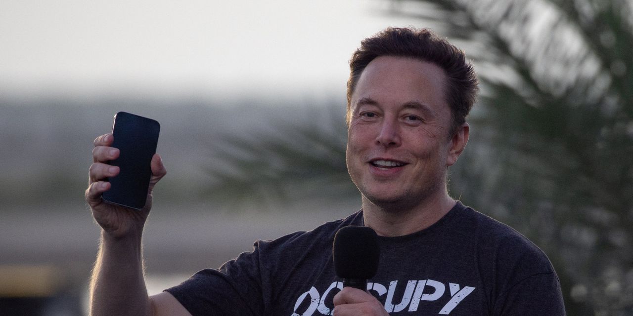 The Rich, Famous and In-Between Vie for Elon Musk’s Attention
