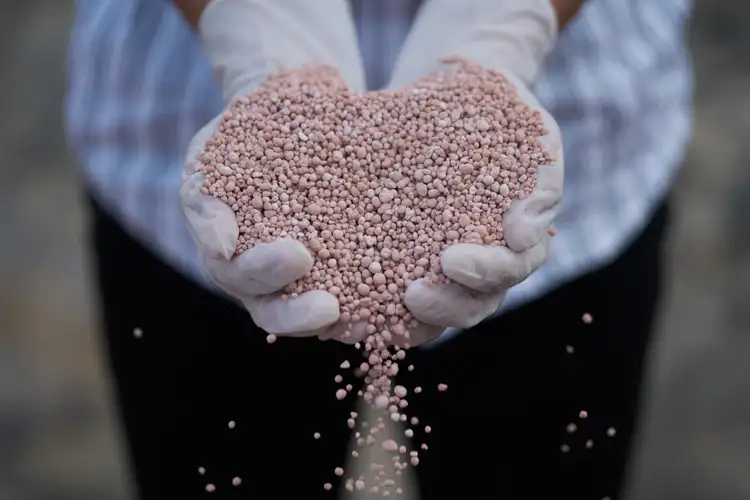 Nutrien downgraded at Jefferies, seeing more risks on the horizon