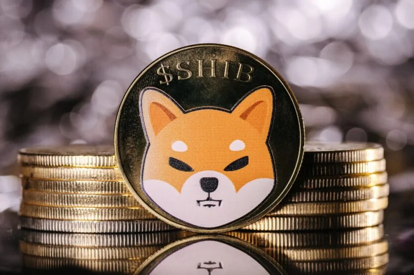 Shiba Inu Soars To Eight-Month High, Up 13% as Meme Coins Rally