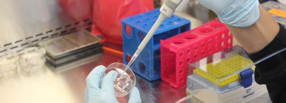 Gilead Sciences (NasdaqGS:GILD) Partners With Kymera In US$750 Million Cancer Treatment Deal
